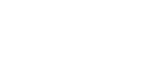 Diaper Genie